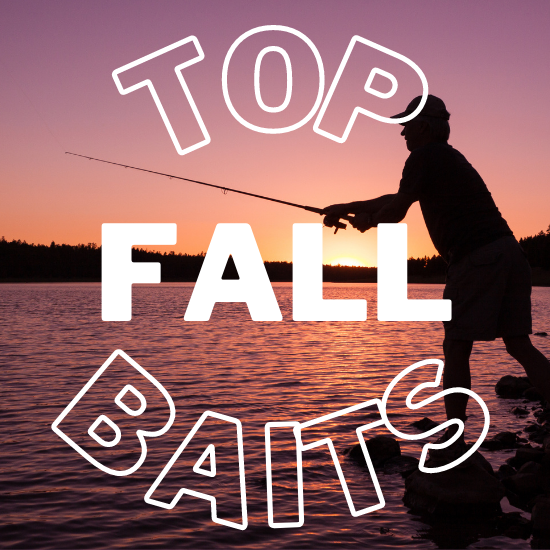Top Fall Baits