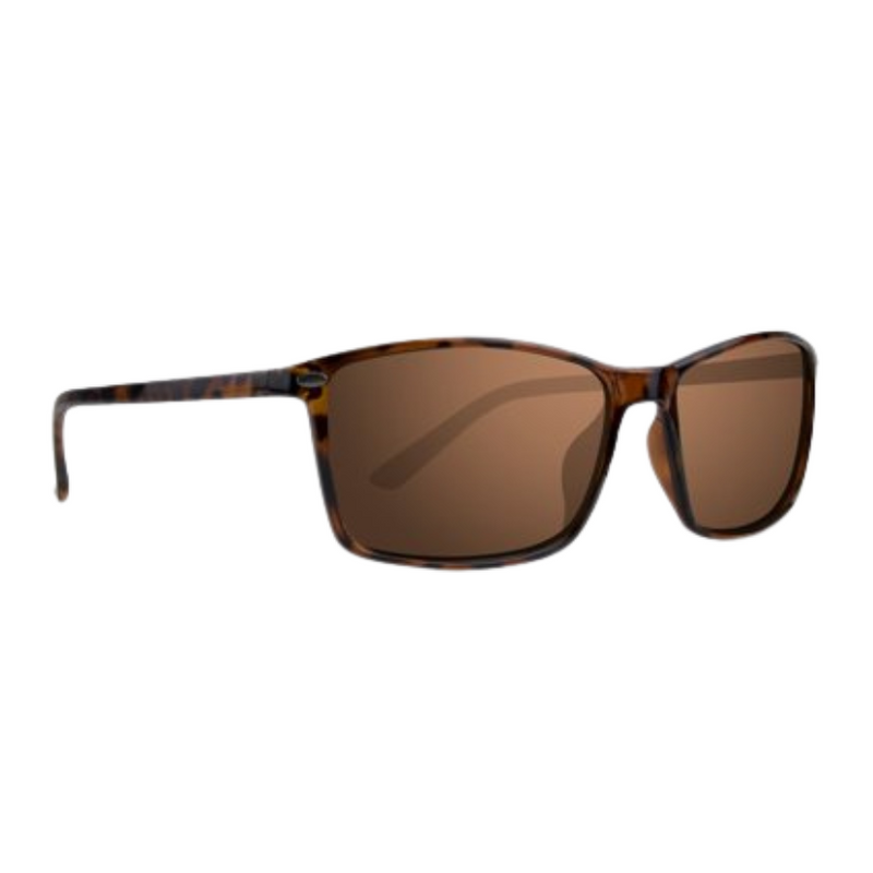 Load image into Gallery viewer, Epoch Murphy Sunglasses - Tortoise Frames with Polarized Brown Lens