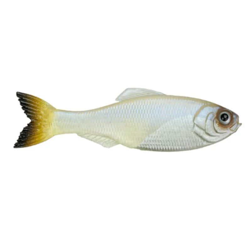 Load image into Gallery viewer, 6th Sense Panorama Swimbait with lifelike paint and soft plastic body for universal forage imitation. Pro Blue