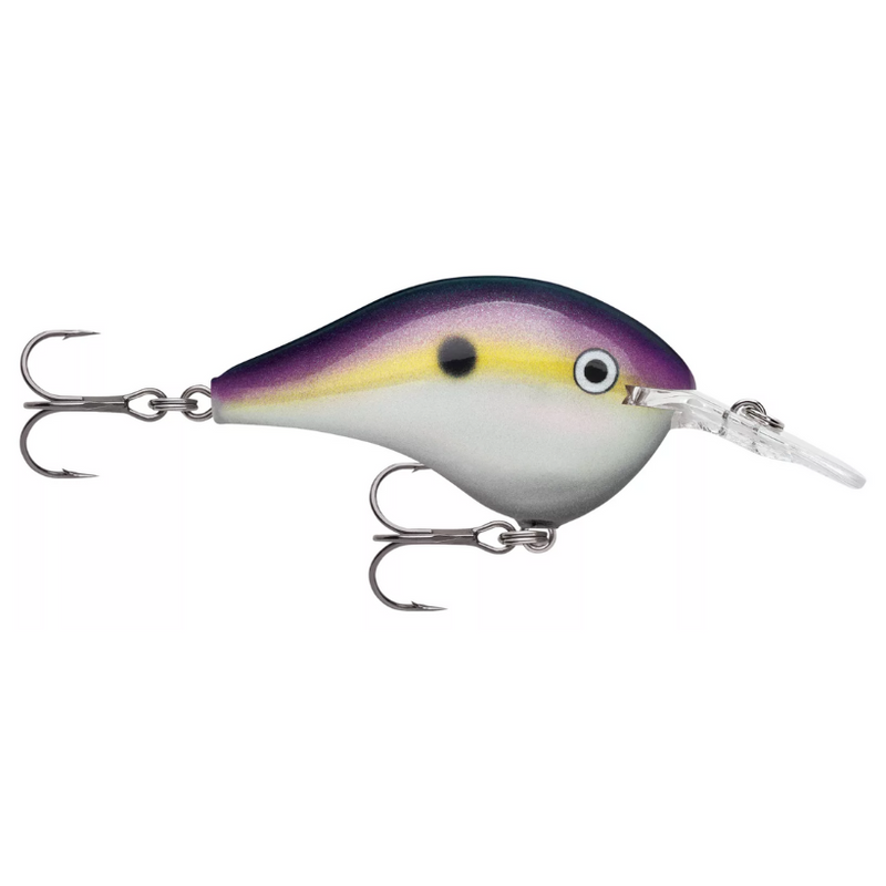 Load image into Gallery viewer, Rapala DT Series Crankbaits - Big Shad