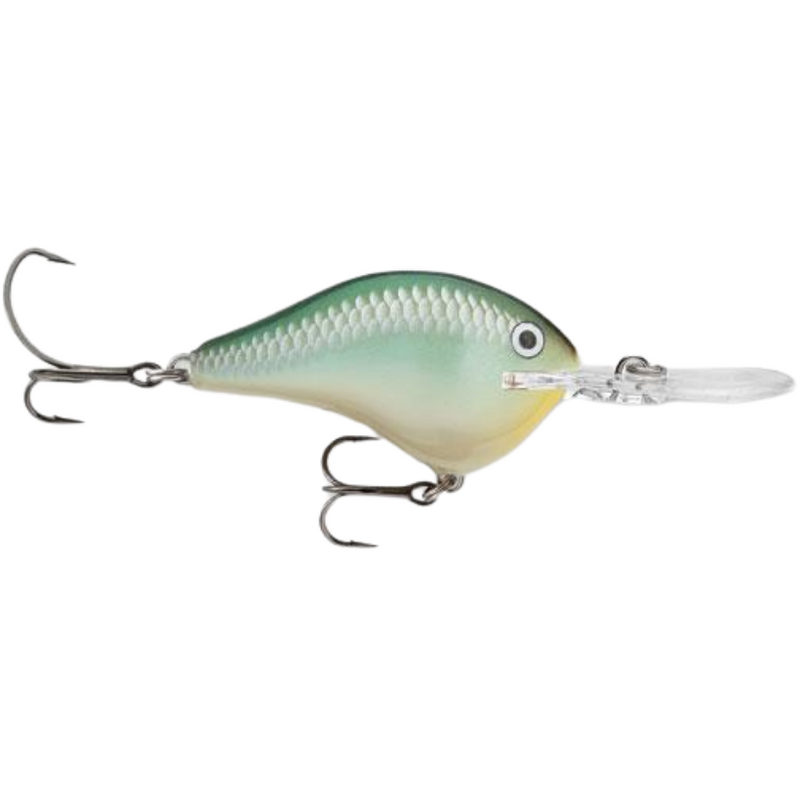 Load image into Gallery viewer, Rapala DT Series Crankbaits - Blue Back Herring