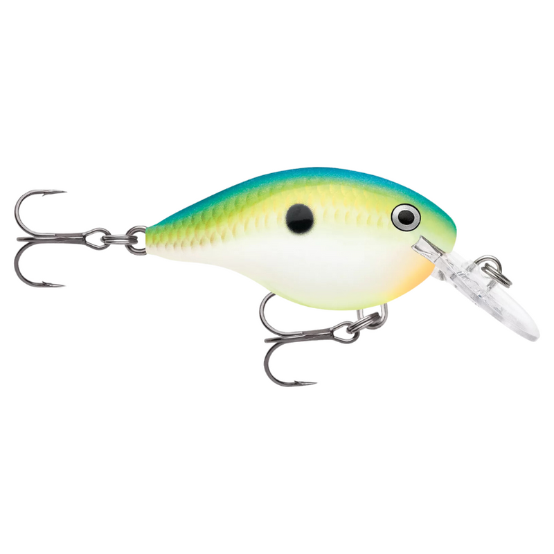Load image into Gallery viewer, Rapala DT Series Crankbaits - Hot Mustard