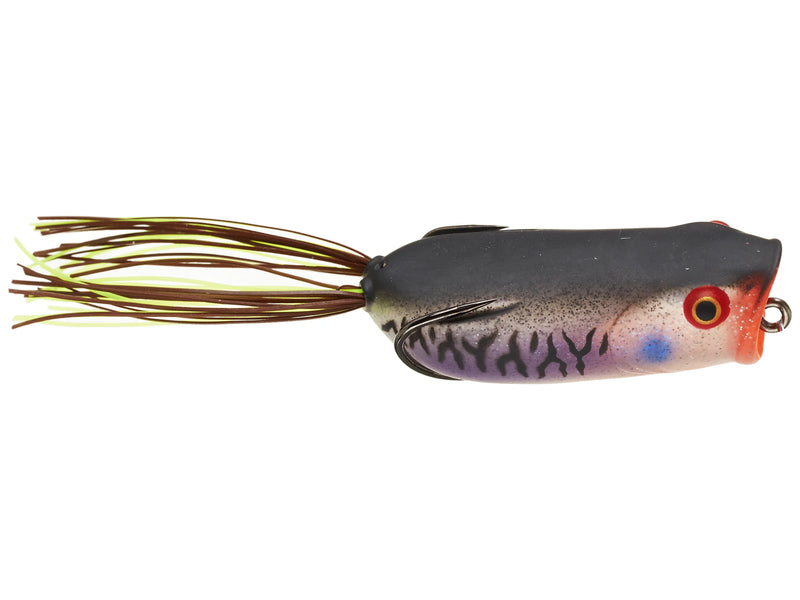 Load image into Gallery viewer, Toad Thumper Thumper Poppin' Frogs