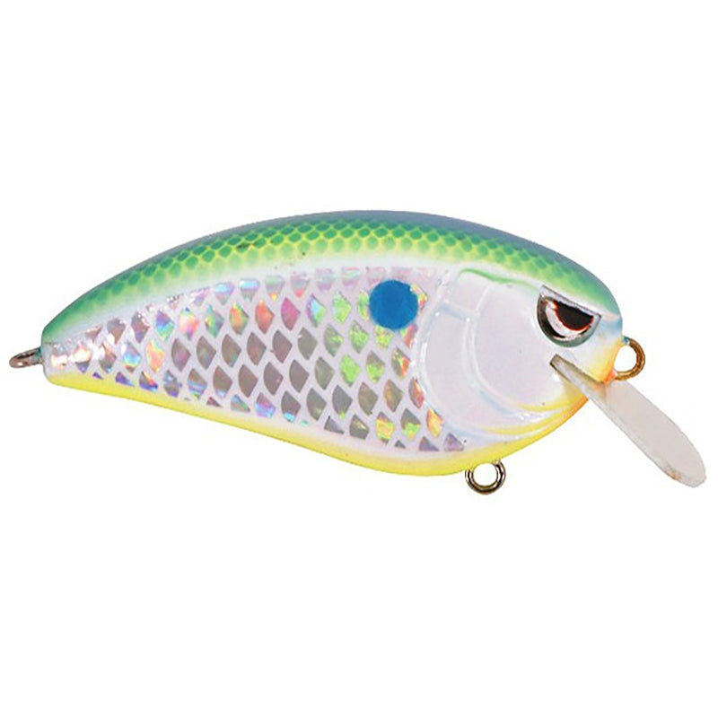 Load image into Gallery viewer, Spro Fat John Crankbait - Citrus Shad