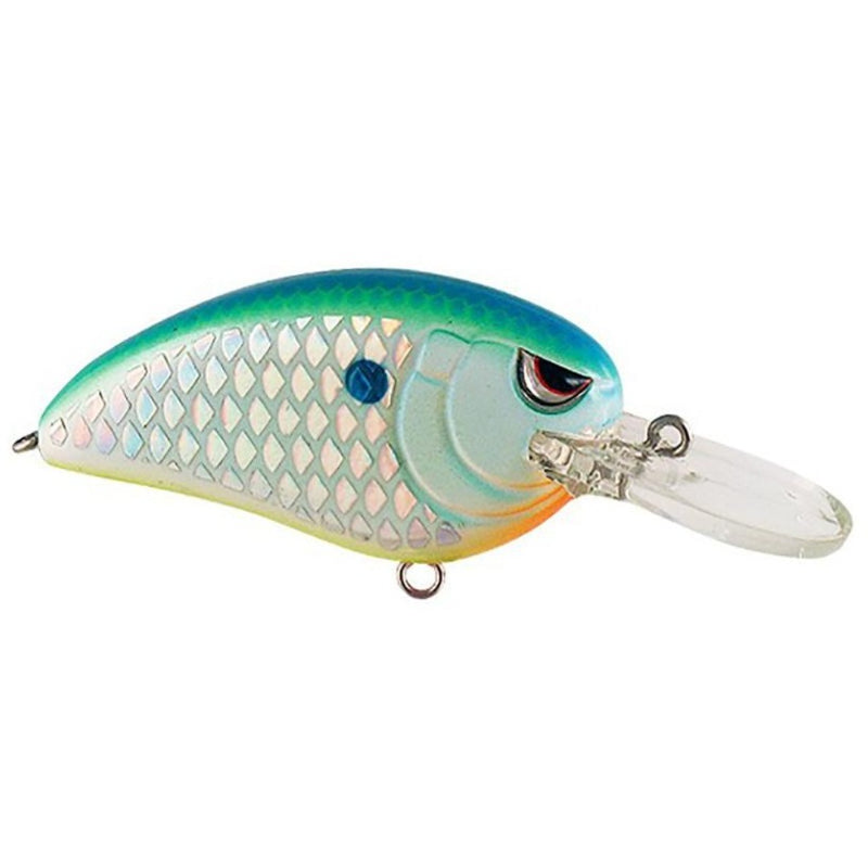 Load image into Gallery viewer, Spro Little John MD 50 Crankbaits - Citrus Shad