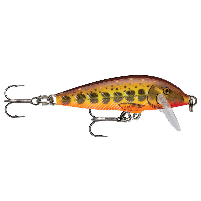Load image into Gallery viewer, Rapala Countdown Minnow - Southern Reel Outfitters