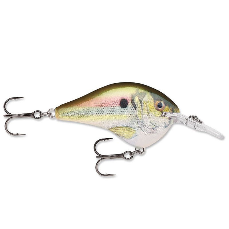 Load image into Gallery viewer, Rapala DT (Dives-To) Series Crankbaits - River Shad