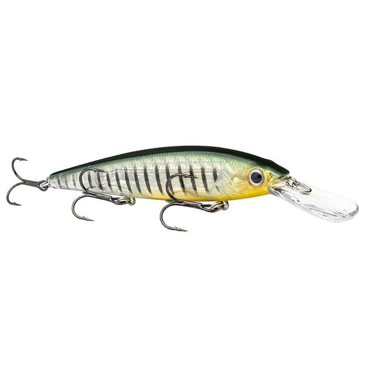 Strike King KVD 300 Series Jerkbaits Phantom Perch