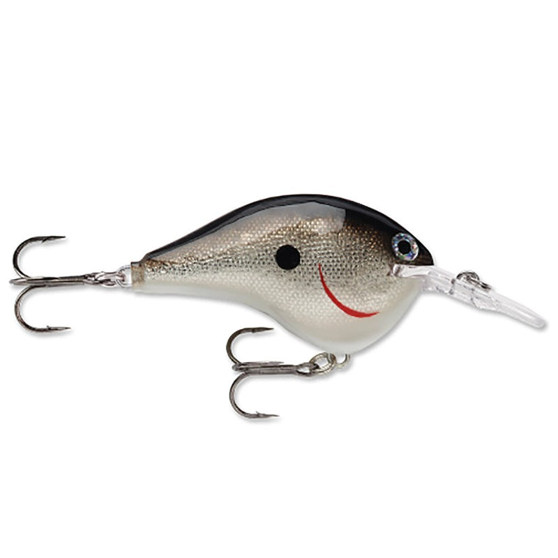 Load image into Gallery viewer, Rapala DT (Dives-To) Series Crankbaits - Silver