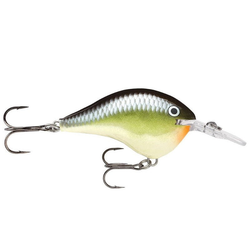 Load image into Gallery viewer, Rapala DT (Dives-To) Series Crankbaits - Smash