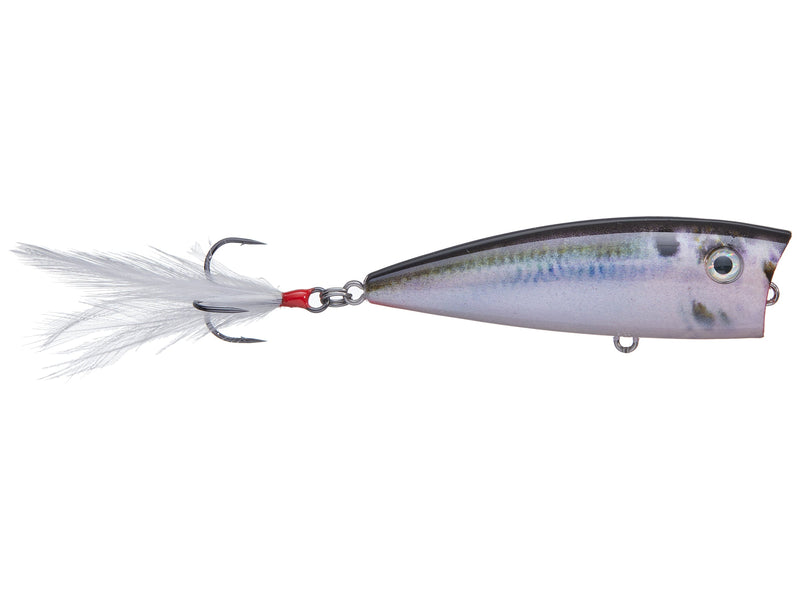 Load image into Gallery viewer, Strike King Kvd Splash Jr Topwater Lures