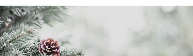 Winter Apparel Sale 2025