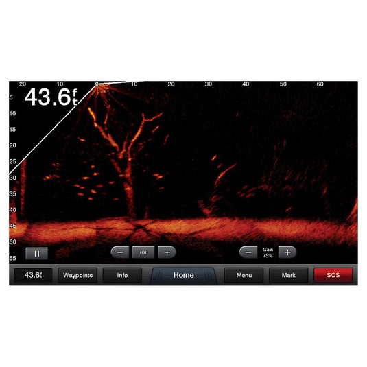 Garmin Panoptix LiveScope System - Actual picture of underwater