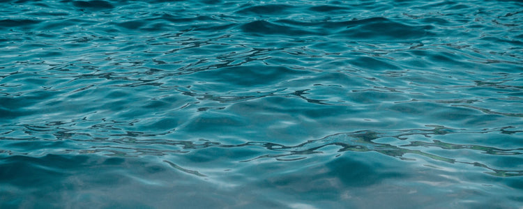 Popular Fishing Brands