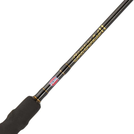 PENN Carnage II Spinning Surf Rod