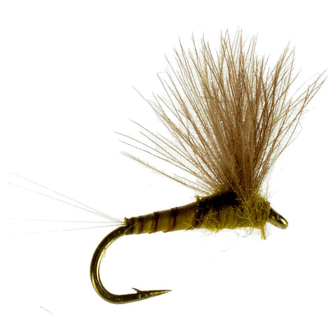 Umpqua CDC Biot Comparadun Flies - BWO