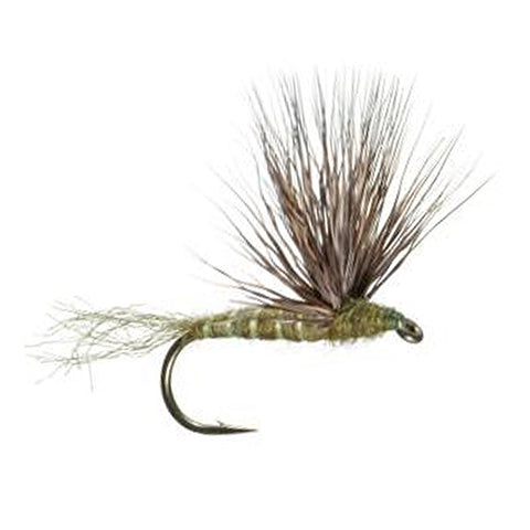 Umpqua Sparkle Dun Flies - Baetis Grey Olive