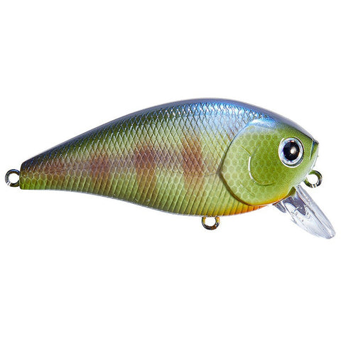 Lucky Craft LC 1.5 Squarebill Crankbaits - American Shad