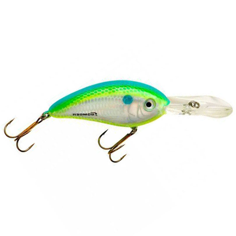 https://www.southernreeloutfitters.com/cdn/shop/products/Bomber-Lures-Fat-Free-Fingerling-BD5F-Crankbait-dances-citrus-shad_810x810.png?v=1598975358