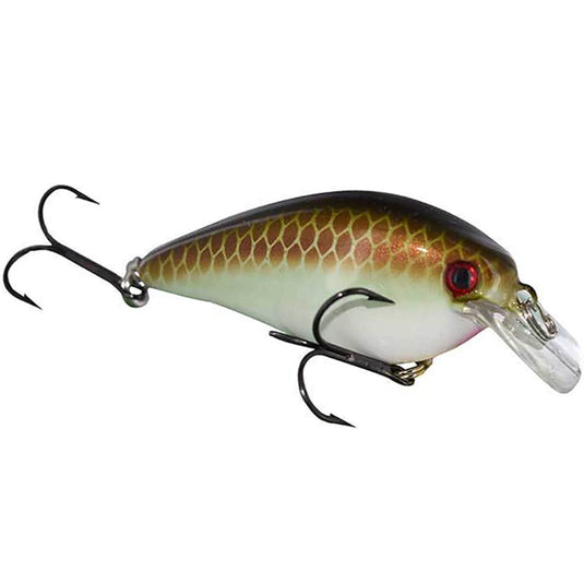 Strike King KVD Squarebill 2.5 Series Crankbaits - MM Copper Nose Shad