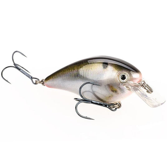 Strike King KVD Squarebill 2.5 Series Crankbaits - Natural Shad