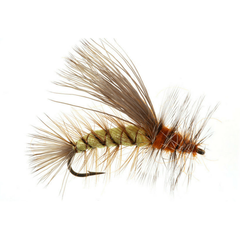 Umpqua Kaufmann's Stimulator