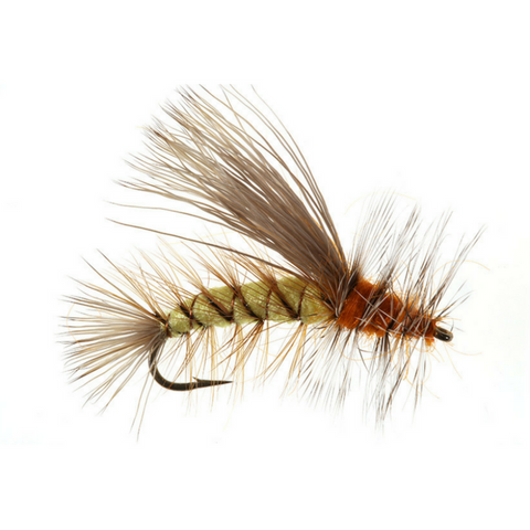Umpqua Kaufmann's Stimulator