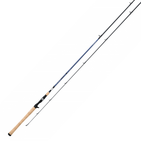 Daiwa Aird Coastal Casting Rod