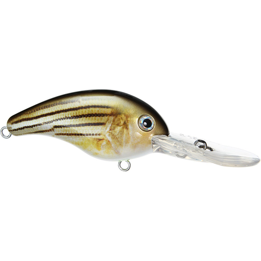https://www.southernreeloutfitters.com/cdn/shop/products/strike-king-10xd-barfish-crankbait_670x511.png?v=1592322699